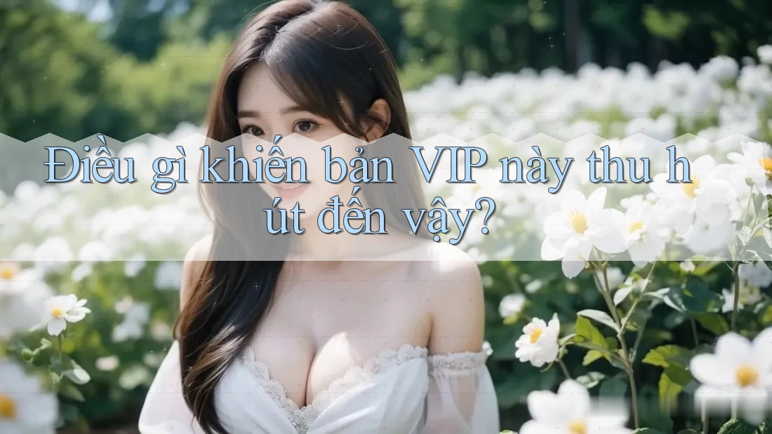 Điều gì khiến bản VIP này thu hút đến vậy? Điều gì khiến bản VIP này thu hút đến vậy?