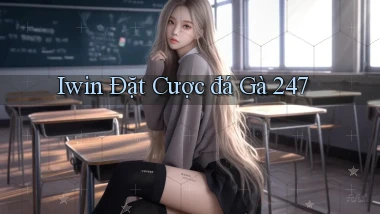 iwin  Đặt cược đá gà 24／7